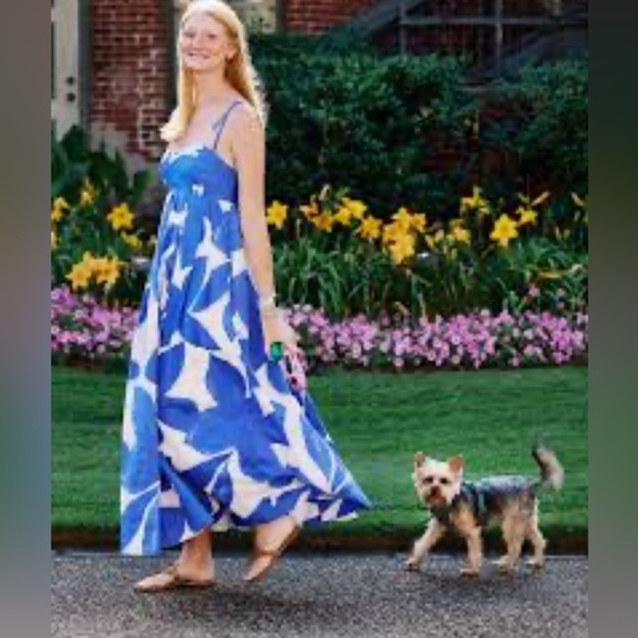 Anthropologie Sleeveless Babydoll Midi Dress Size XS - Picture 5 of 11